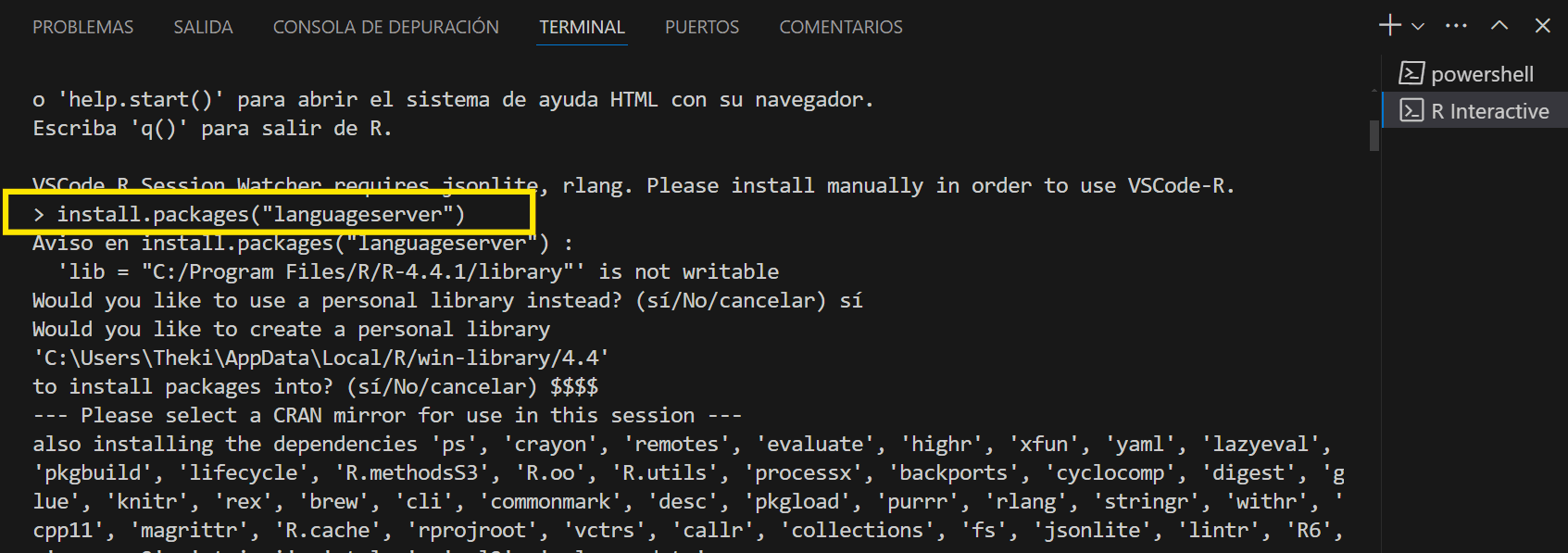 Imagen de la instalación del paquete languageserver en R